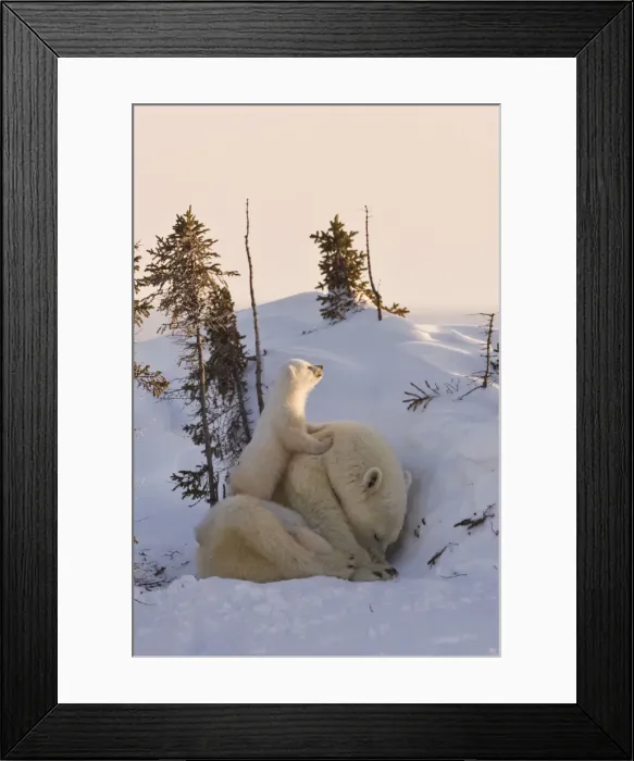 Framed Print : DDE-90028201 Framed Print : DDE-90028201