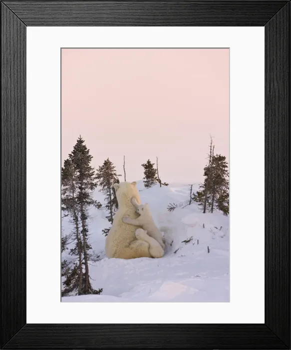 Framed Print : DDE-90028202 Framed Print : DDE-90028202