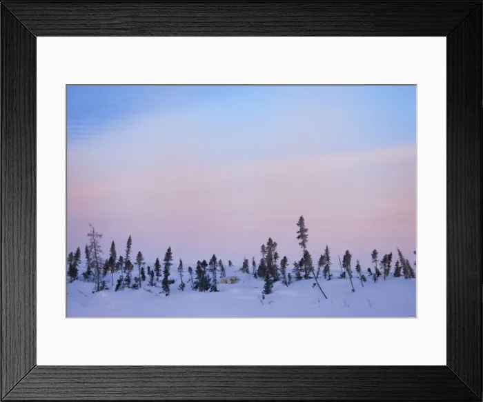 Framed Print : DDE-90028204 Framed Print : DDE-90028204