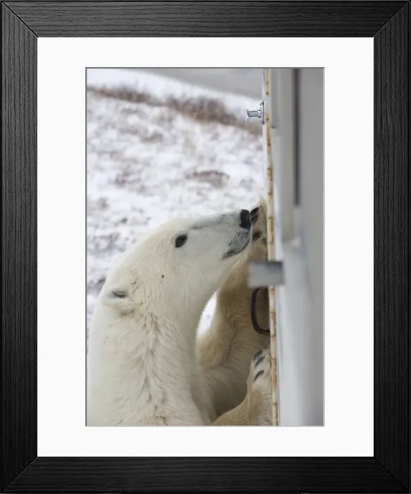 Framed Print : DDE-90028213 Framed Print : DDE-90028213
