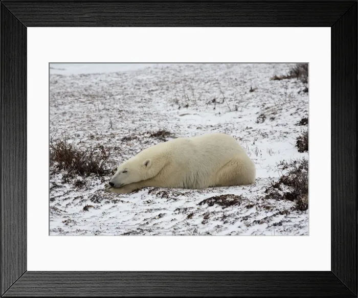 Framed Print : DDE-90028214 Framed Print : DDE-90028214