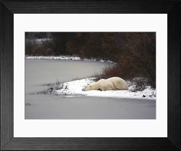 Framed Print : DDE-90028224 Framed Print : DDE-90028224