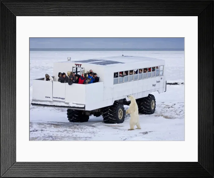 Framed Print : DDE-90028236 Framed Print : DDE-90028236
