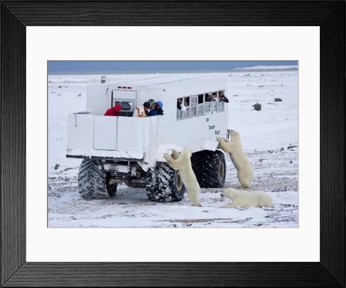 Framed Print : DDE-90028238