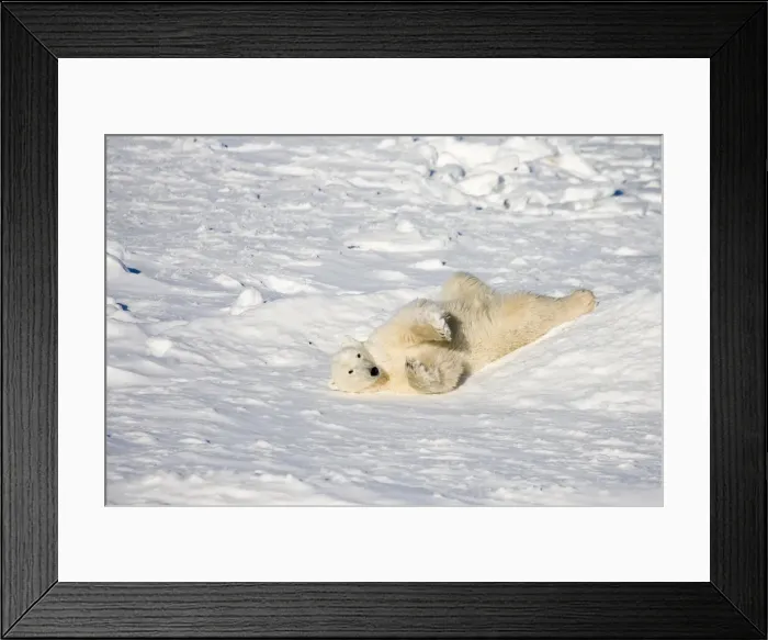 Framed Print : DDE-90028239