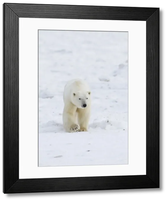Framed Print : DDE-90028244