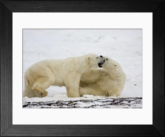 Framed Print : DDE-90028245 Framed Print : DDE-90028245