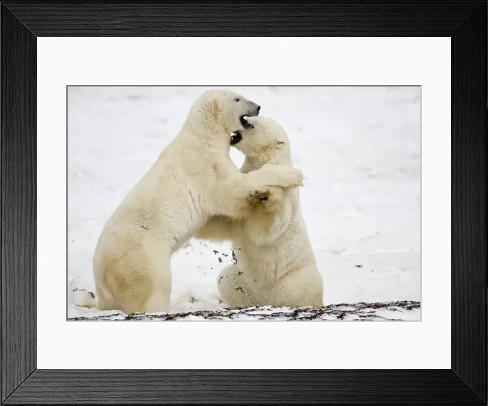 Framed Print : DDE-90028246 Framed Print : DDE-90028246
