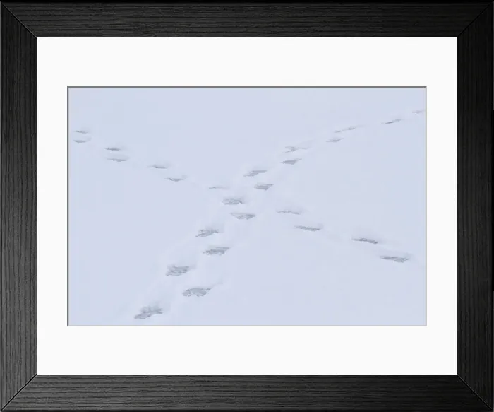 Framed Print : DDE-90028254 Framed Print : DDE-90028254