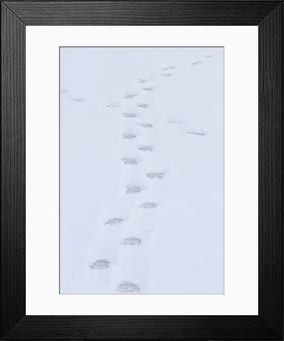Framed Print : DDE-90028255 Framed Print : DDE-90028255