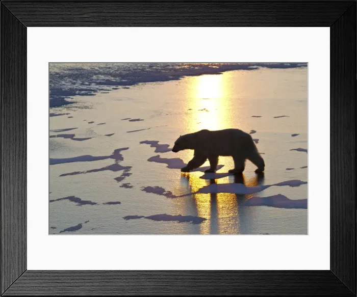 Framed Print : DDE-90028290 Framed Print : DDE-90028290