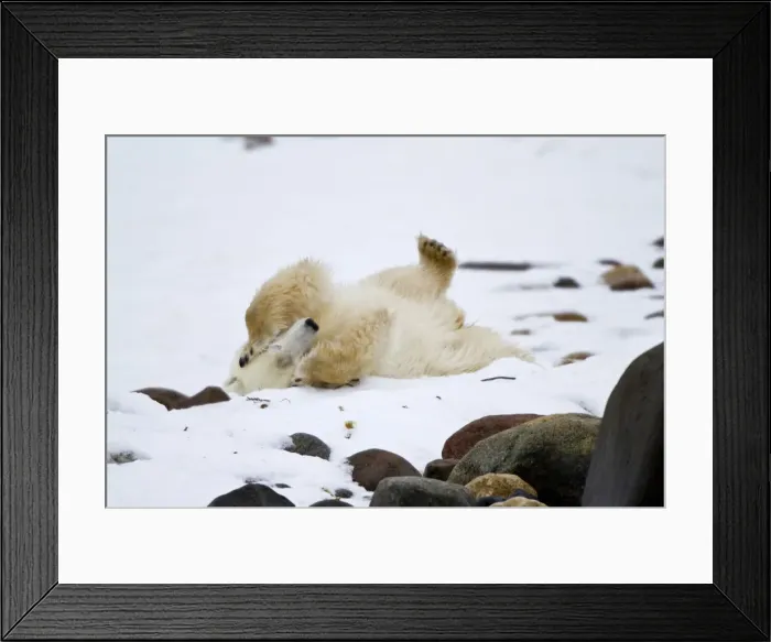 Framed Print : DDE-90028294 Framed Print : DDE-90028294