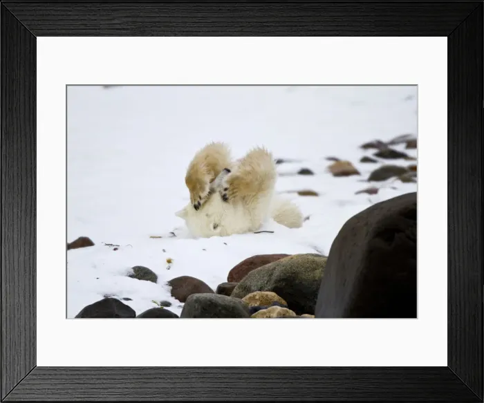 Framed Print : DDE-90028295 Framed Print : DDE-90028295