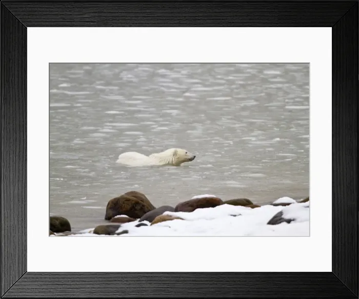 Framed Print : DDE-90028296 Framed Print : DDE-90028296