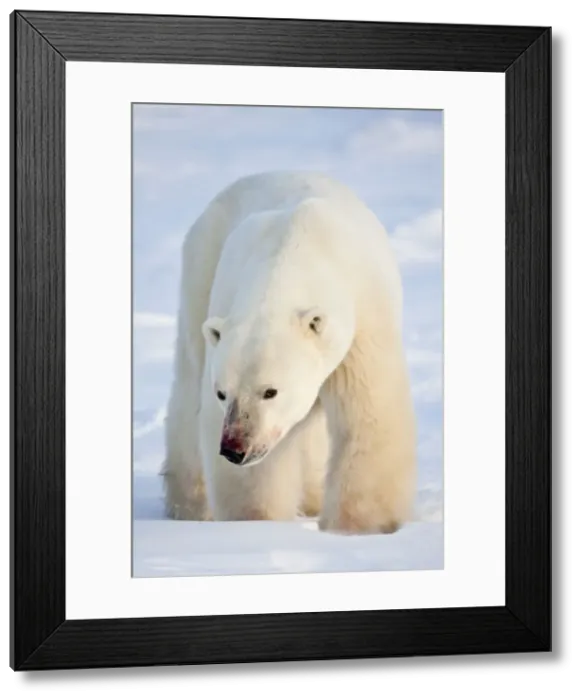 Framed Print : DDE-90028297 Framed Print : DDE-90028297