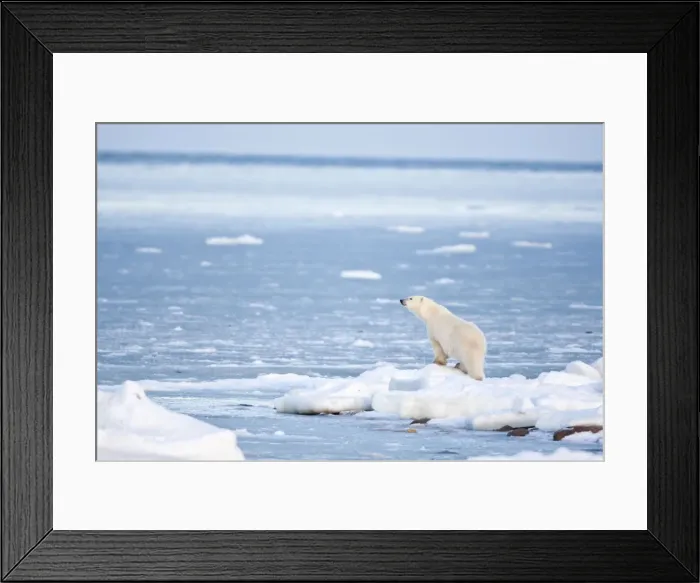 Framed Print : DDE-90028300 Framed Print : DDE-90028300