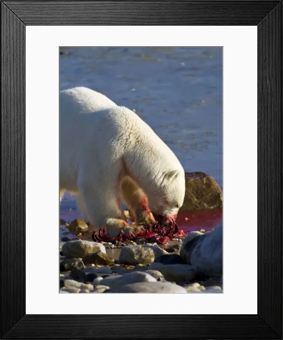 Framed Print : DDE-90028302