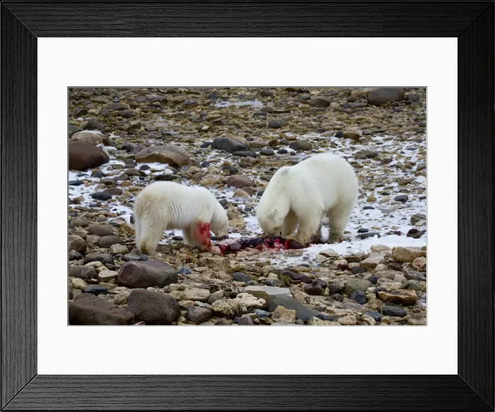 Framed Print : DDE-90028303