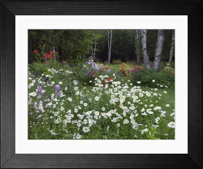 Framed Print : DDE-90028314 Framed Print : DDE-90028314