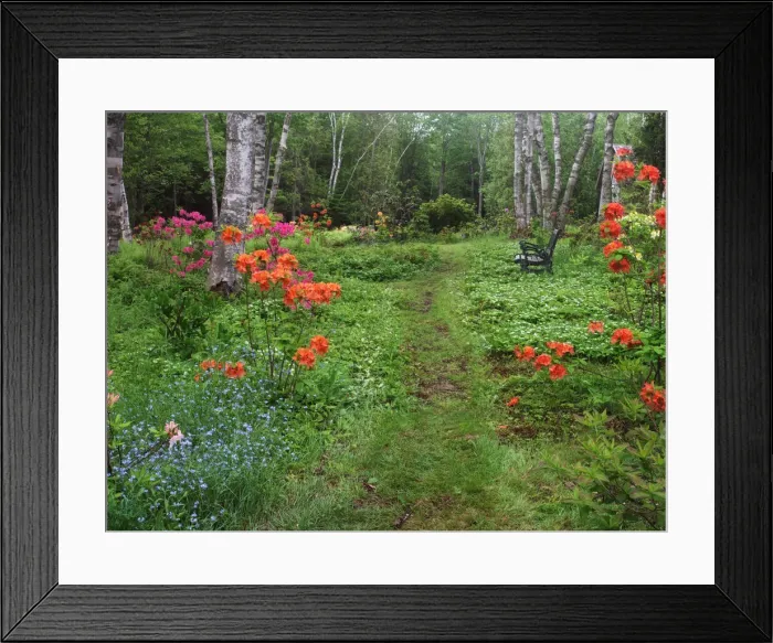 Framed Print : DDE-90028315 Framed Print : DDE-90028315