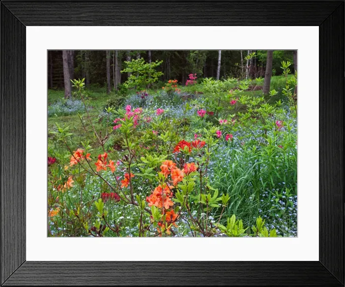 Framed Print : DDE-90028317 Framed Print : DDE-90028317