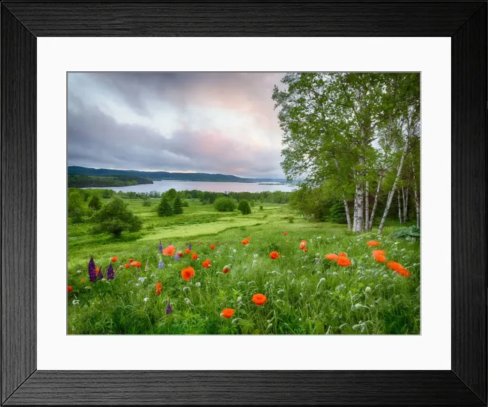 Framed Print : DDE-90028319 Framed Print : DDE-90028319