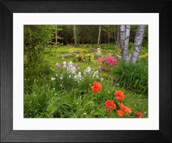 Framed Print : DDE-90028320 Framed Print : DDE-90028320