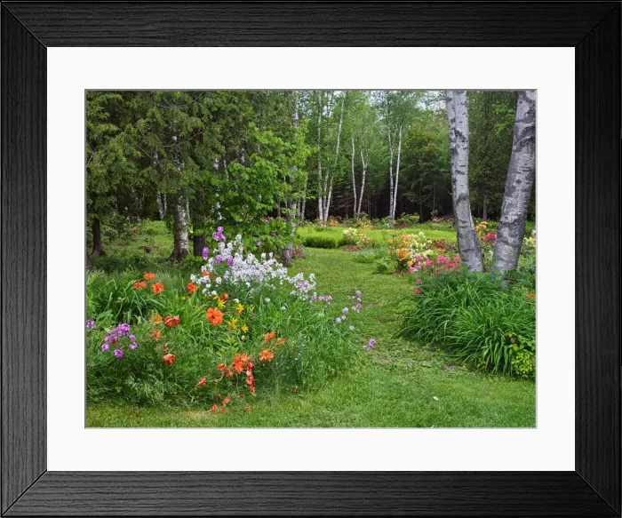 Framed Print : DDE-90028323 Framed Print : DDE-90028323