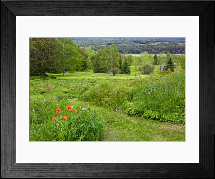 Framed Print : DDE-90028325
