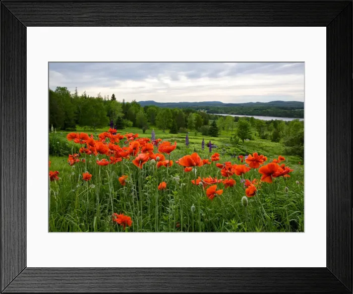 Framed Print : DDE-90028327