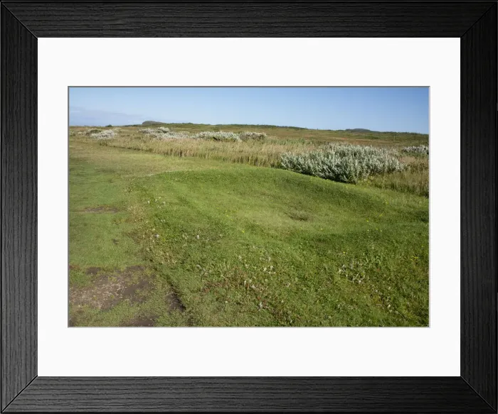 Framed Print : DDE-90028340 Framed Print : DDE-90028340