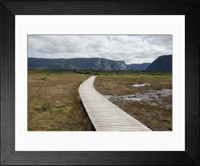 Framed Print : DDE-90028342 Framed Print : DDE-90028342