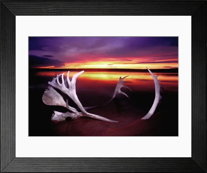 Framed Print : DDE-90028345 Framed Print : DDE-90028345