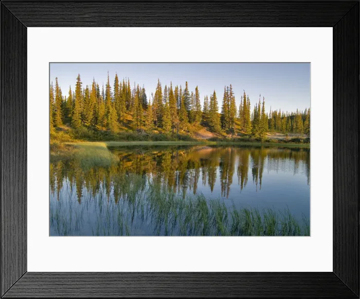 Framed Print : DDE-90028348 Framed Print : DDE-90028348