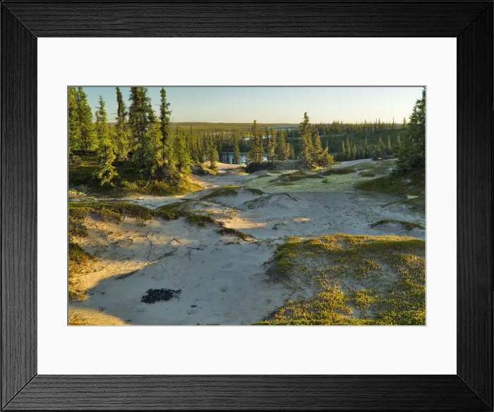 Framed Print : DDE-90028349 Framed Print : DDE-90028349