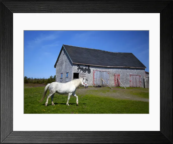 Framed Print : DDE-90028356 Framed Print : DDE-90028356
