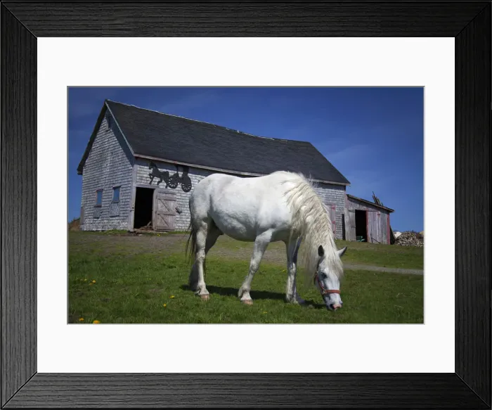 Framed Print : DDE-90028357 Framed Print : DDE-90028357