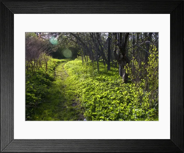 Framed Print : DDE-90028359 Framed Print : DDE-90028359