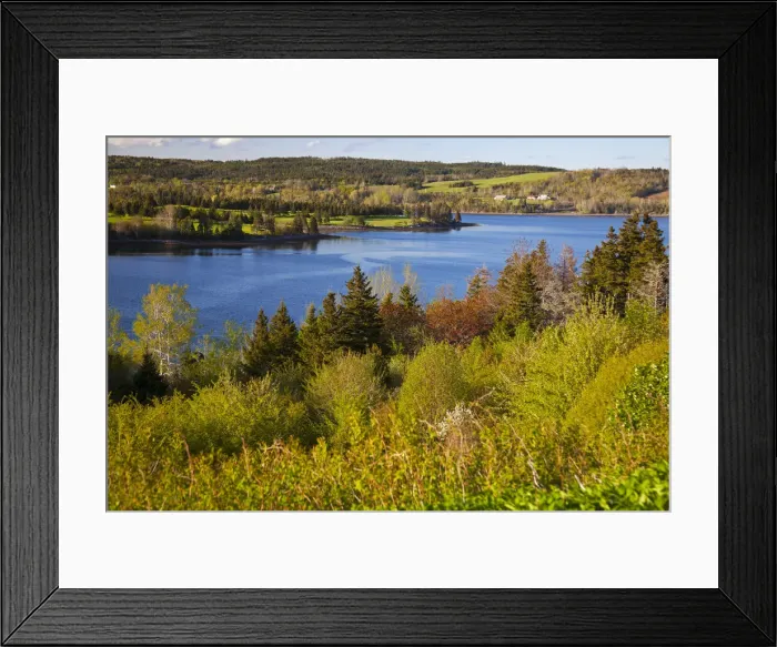 Framed Print : DDE-90028360 Framed Print : DDE-90028360