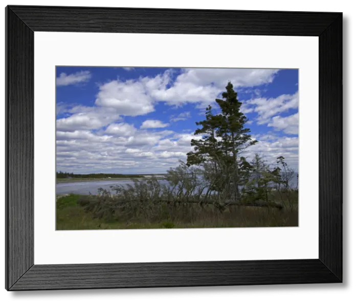 Framed Print : DDE-90028362 Framed Print : DDE-90028362