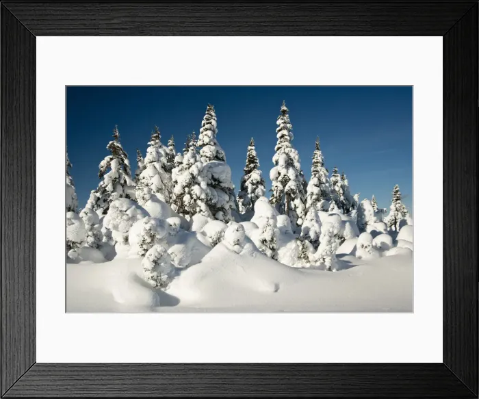 Framed Print : DDE-90028365 Framed Print : DDE-90028365