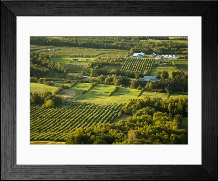 Framed Print : DDE-90028364 Framed Print : DDE-90028364