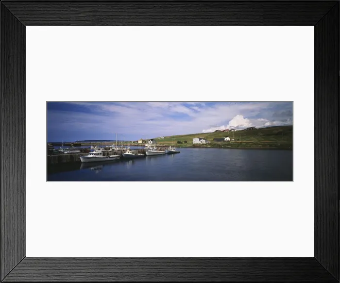 Framed Print : DDE-90028369