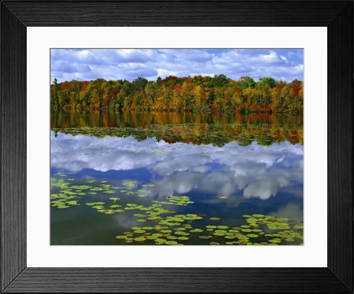 Framed Print : DDE-90028377 Framed Print : DDE-90028377