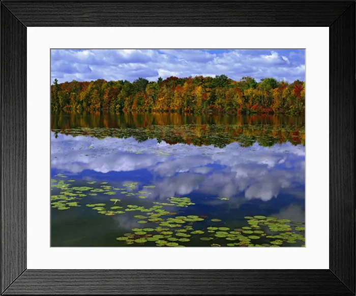 Framed Print : DDE-90028379 Framed Print : DDE-90028379