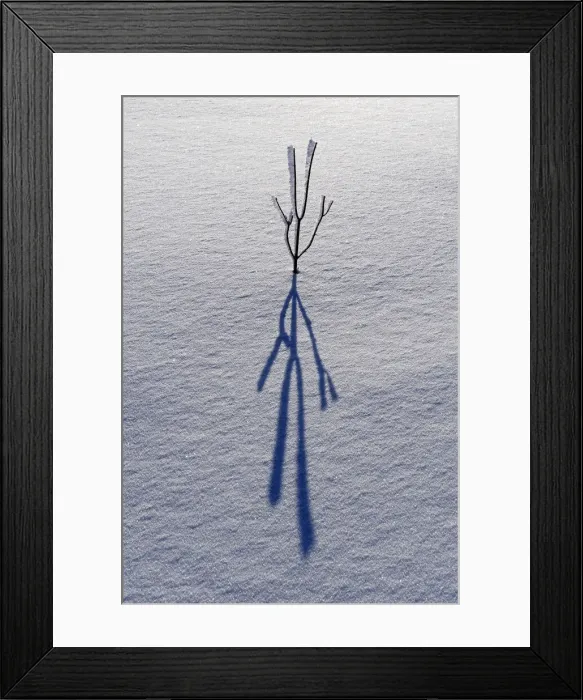 Framed Print : DDE-90028384 Framed Print : DDE-90028384