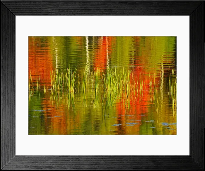 Framed Print : DDE-90028385 Framed Print : DDE-90028385