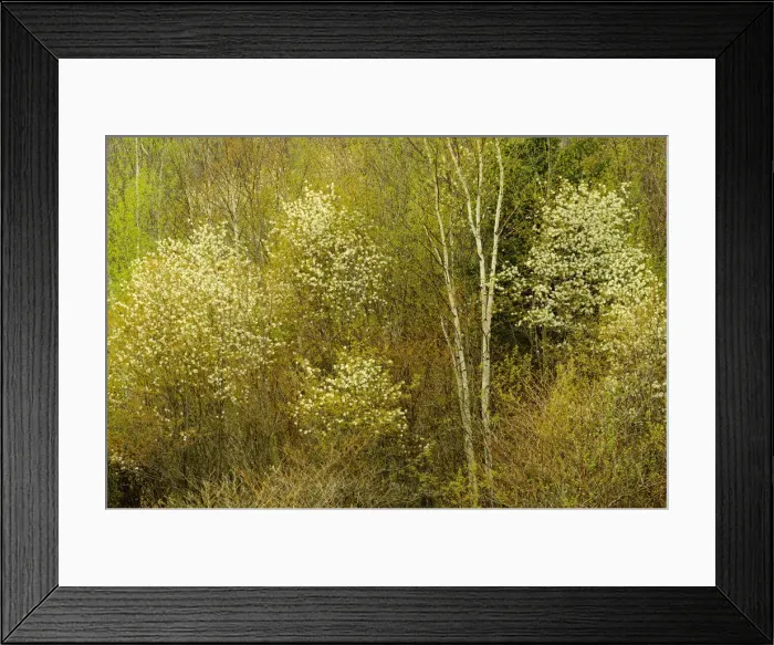 Framed Print : DDE-90028398 Framed Print : DDE-90028398