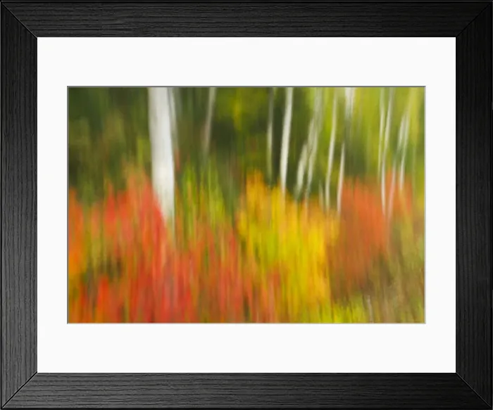 Framed Print : DDE-90028400 Framed Print : DDE-90028400
