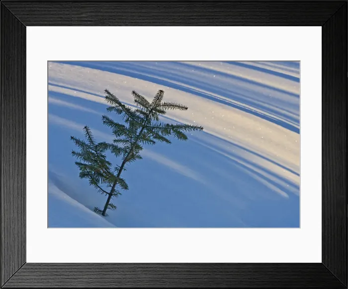 Framed Print : DDE-90028403 Framed Print : DDE-90028403